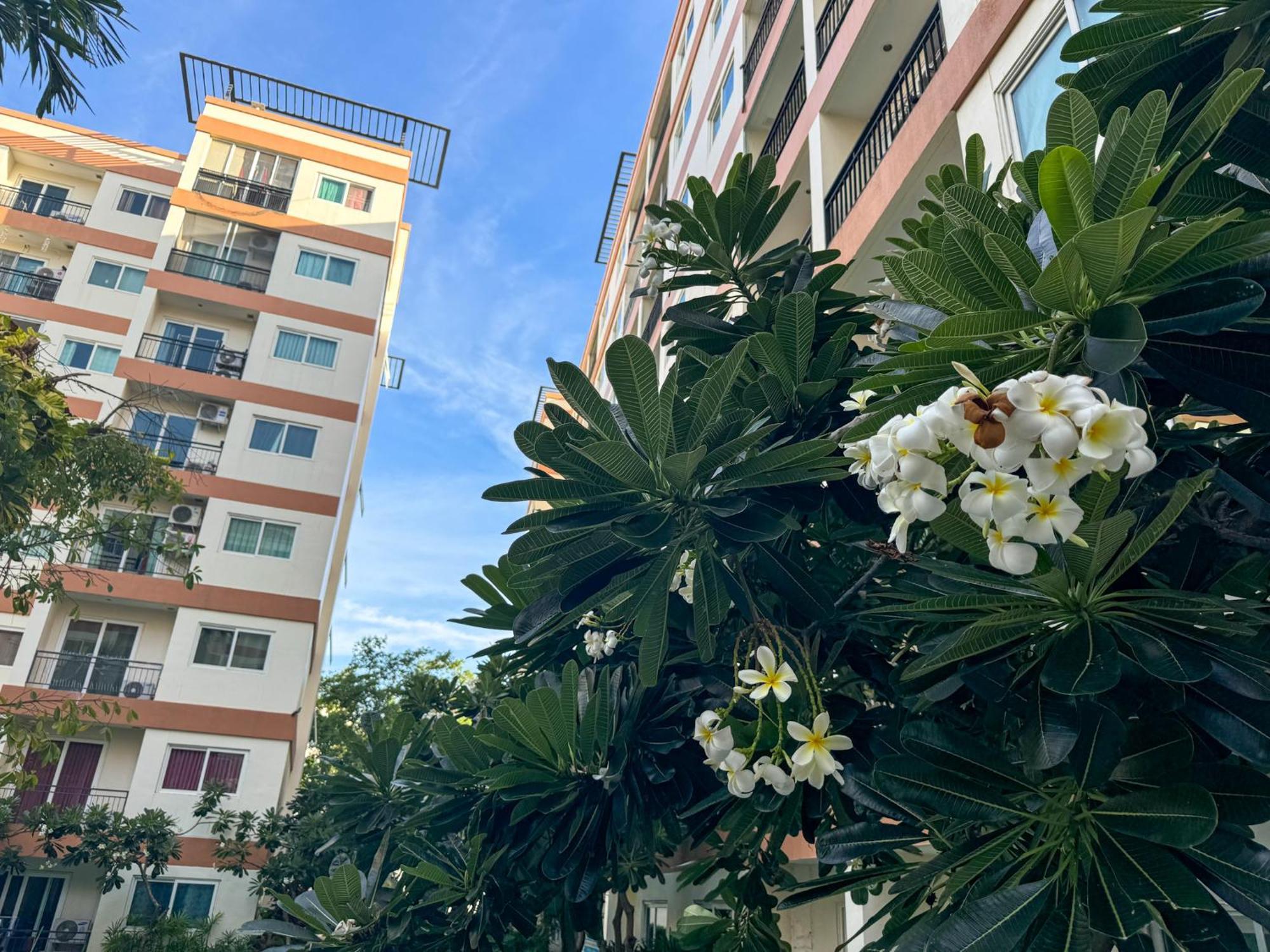 卧室直达泳池 全网最低价 到中天海滩5分钟 Jomtien Beach Esterno foto
