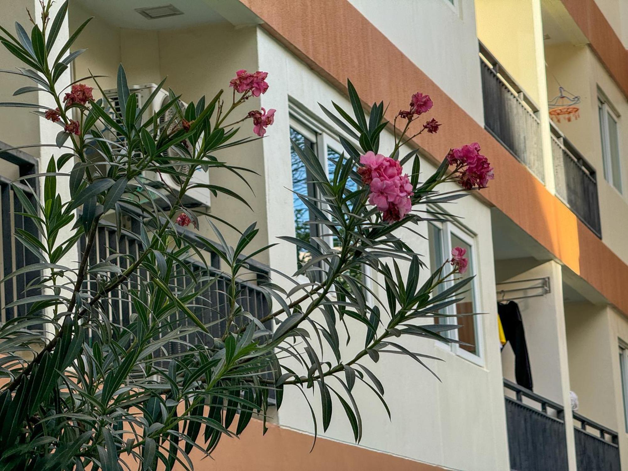 卧室直达泳池 全网最低价 到中天海滩5分钟 Jomtien Beach Esterno foto